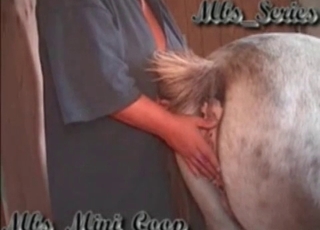 Kissing and rimming ass of a stallion