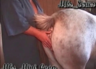 Kissing and rimming ass of a stallion