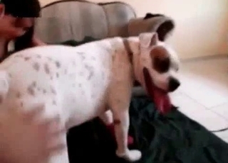 Cute smiling hottie and her playful doggy