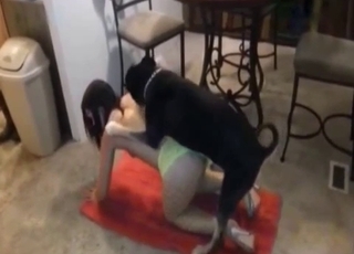 Sweet hound fucked her cunt in doggy pose