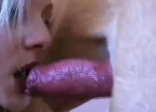Stunning chick is sucking a huge dog dick