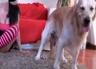 Crazy animal fucking like insane in zoo XXX