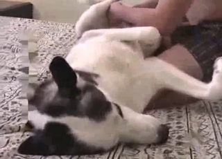 Crazy to see such dirty bestiality XXX
