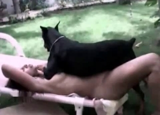 Hound in amazing and filthy bestiality
