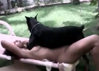 Hound in amazing and filthy bestiality