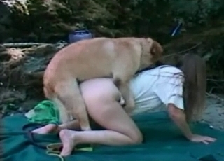 Sexy wife nicely pounded by her doggy