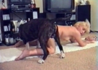 Stunning amateur bestiality looks nasty