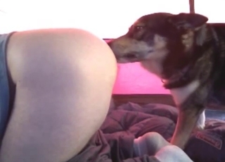 Dog fucked her crack with love and force
