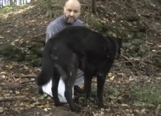 Bald man and shepherd having nice sex