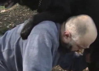 Bald man and shepherd having nice sex