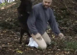 Bald man and shepherd having nice sex