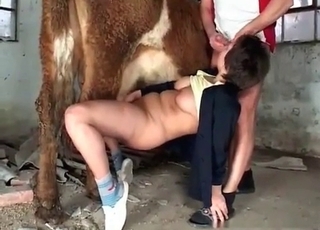 Sweet mare fucking my wife in barn