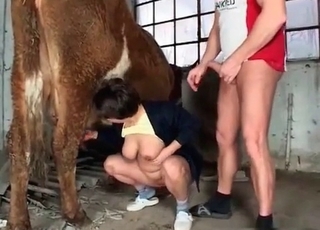 Sweet mare fucking my wife in barn