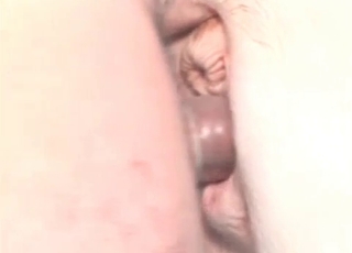 Dirty bestiality XXX shot in close-up