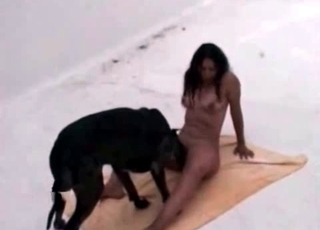 Two sexy shepherds are fucking her holes