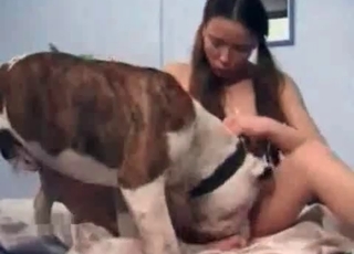 Sexy spotted doggy in amazing bestiality XXX