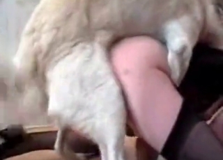 Dirty as fuck animal sex in close-up