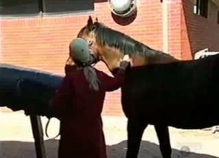 Brown stallion in amazing bestiality XXX
