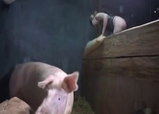 Good pig fucked a big-ass babe from behind