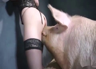Good pig fucked a big-ass babe from behind