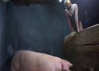 Good pig fucked a big-ass babe from behind