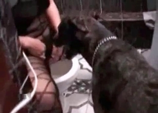 Cute babe opens her crack for a doggy