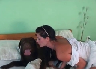 Hot doggy licking her wide-opened cunt