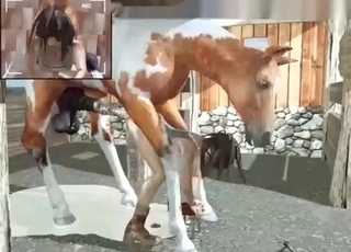 Spotted stallion fucking a tight wet vagina