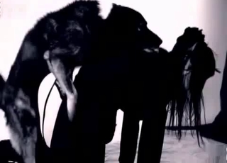 Sexy dog fucked her crack from behind