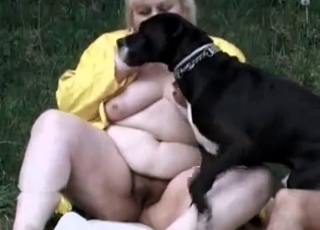 Black doggy and fat slut in bestiality