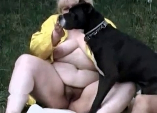 Black doggy and fat slut in bestiality