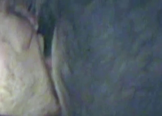Licking my animal ass in doggy pose
