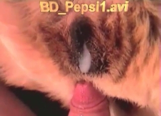 Passionate doggy sucking his loaded dick