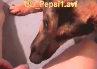 Passionate doggy sucking his loaded dick