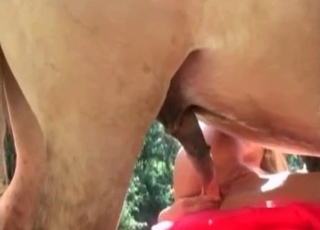 Awesome ass to ass sex with stallion