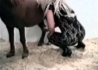 Sexy chick and pony enjoy farm bestiality