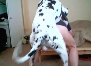 Dog fucked his nice round ass from behind