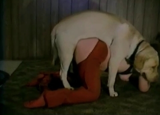 Juicy vagina nicely fucked by labrador