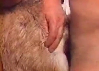 Dude fucked his farm animal from behind