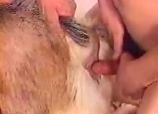 Dude fucked his farm animal from behind