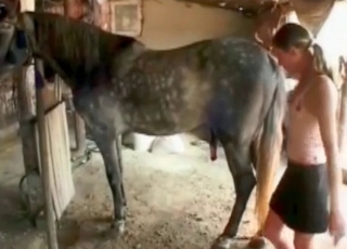 Gorgeous amateur sex with stunning beast