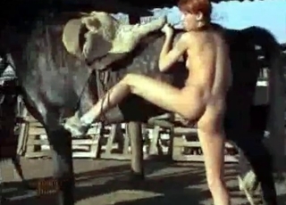 Amazing stallion fucked her cunt on cam