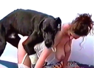 Nice to see her fucking with a cute hound