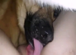 Sexy white dog fucked her wet cunt