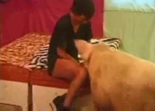 Amazing amateur bestiality XXX with my pig
