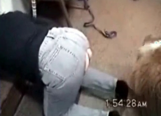 Black dog fucked her crack from behind