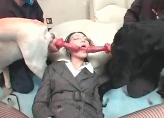 Two doggies nicely sucked by brunette