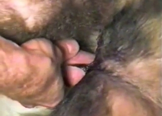 Sweet doggy pounded hard in sideways pose