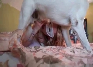 Masked glamour zoofil sucking her doggy