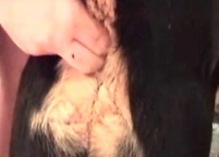 Beautiful anal play with my playful animal